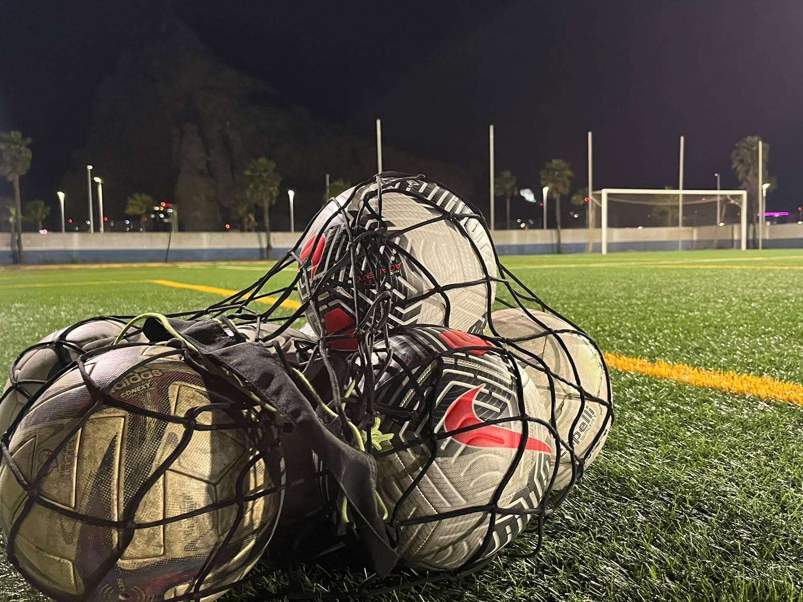 Sporting Linense training field